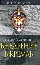 Евгений Стригин - Внедрение в Кремль