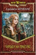 Шумская Елизавета - Чародеи на практике