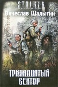 Вячеслав Шалыгин - Тринадцатый сектор