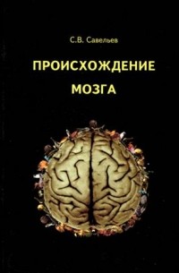 С.В. Савельев - Происхождение мозга
