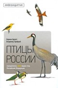  - Птицы России