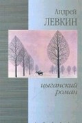 Андрей Левкин - Цыганский роман (сборник)