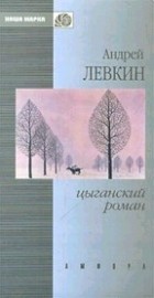 Андрей Левкин - Цыганский роман (сборник)