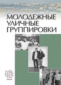 Д. В. Громов - Молодежные уличные группировки: введение в проблематику