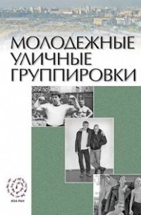 Д. В. Громов - Молодежные уличные группировки: введение в проблематику