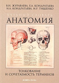  - Учебный словарь. Анатомия. Толкование и сочетаемость терминов