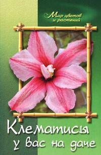 Жуковская - Клематисы у вас на даче