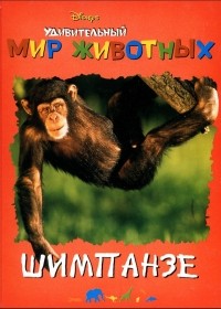 - - Шимпанзе