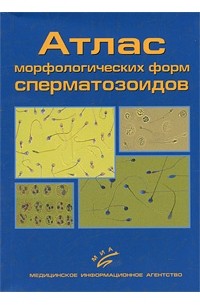 Подождите. Добавляем книгу в корзину.