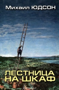 Лестница на шкаф