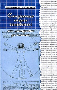 Соколова Н.Г. - Строение тела человека: от макушки до пяток