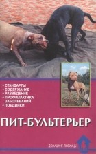  - Пит-бультерьер
