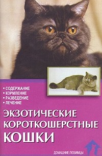  - Экзотические короткошерстные кошки