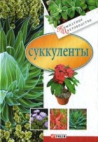 Дорошенко Татьяна - Суккуленты