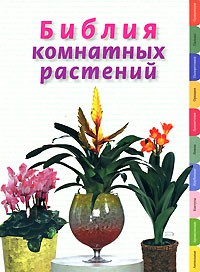 Березкина Ирина - Библия комнатных растений