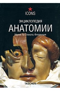 Энциклопедия анатомии