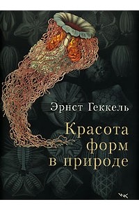 Эрнст Генрих Геккель - Красота форм в природе