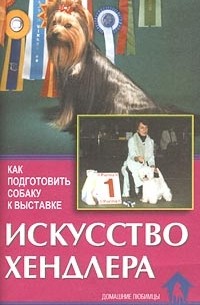 Искусство хендлера. Как подготовить собаку к выставке