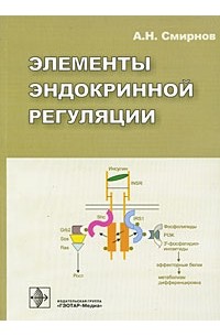 А. Смирнов - Элементы эндокринной регуляции