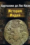 Бартоломе де Лас Касас - История Индий