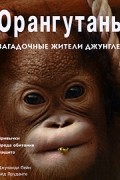 Орангутаны. Загадочные жители джунглей
