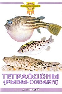 А. Гуржий - Тетраодоны (рыбы-собаки)