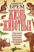  - Жизнь животных. Самая важная и интересная информация, дополненная современными данными