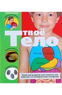 Твое тело