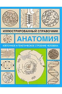 Лазукина Н. - Клеточное и генетическое строение человека