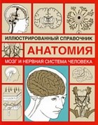 Борисова И. А. - Мозг и нервная система человека