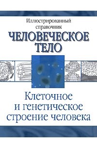 Лазукина Н. - Клеточное и генетическое строение человека