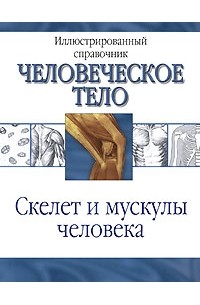 Венюкова В. - Скелет и мускулы человека