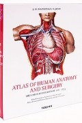  - Atlas of Human Anatomy and Surgery