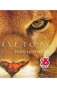  - Lanting - Eye to Eye / Лантинг: Глаза в глаза