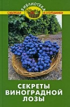 Бурова В.В. - Секреты виноградной лозы