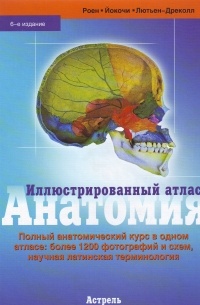  - Анатомия. Иллюстрированный атлас