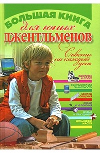 Юлия Виес - Большая книга для юных джентльменов