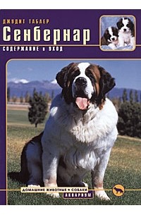 Сенбернар. Содержание и уход