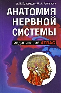 Александр Кондрашев - Анатомия нервной системы