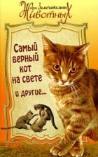 без автора - Самый верный кот на свете и другие (сборник)