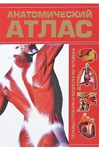 Анатомический атлас. Основы строения и физиологии человека