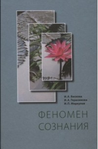  - Феномен сознания