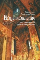 Протоиерей Александр Торик - Воцерковление для начинающих церковную жизнь