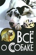 * - Все о собаке