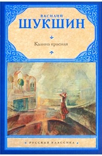 Книга калина 1117