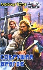 Александр Тестов - Сокрушая врагов