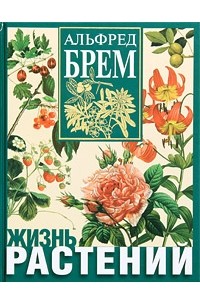 Альфред Брем - Жизнь растений. Новейшая ботаническая энциклопедия