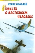 Борис Полевой - Повесть о настоящем человеке