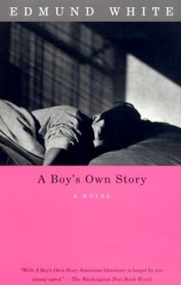 Edmund White - A Boy's Own Story