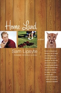 Sam Lipsyte - Home Land